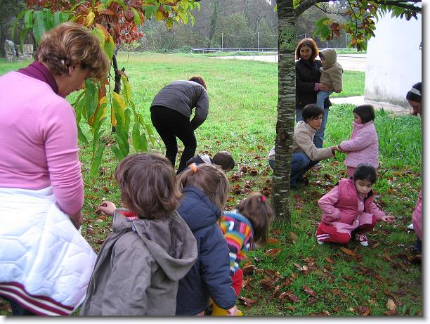 Diapositiva siguiente